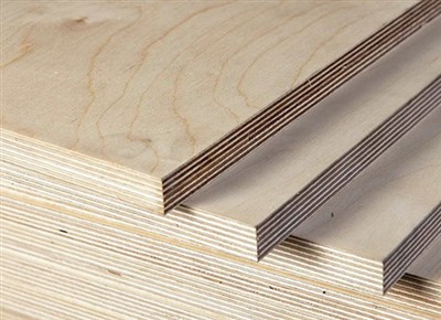 Contraplacado de bétula